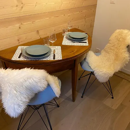 L'adret, 3,5 Pieces Dans Les Combles. * Gryon