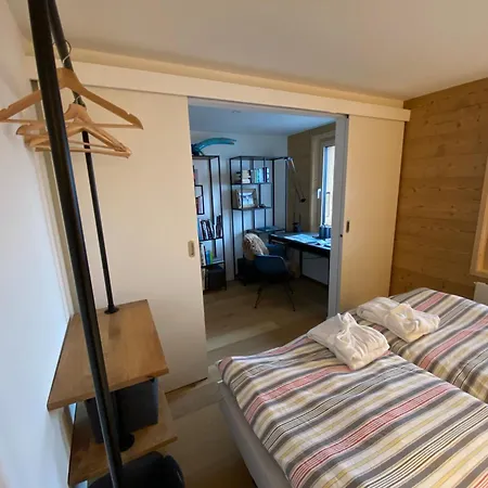 L'adret, 3,5 Pieces Dans Les Combles. Apartamento Gryon
