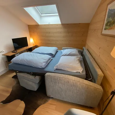 L'adret, 3,5 Pieces Dans Les Combles. Apartment Gryon