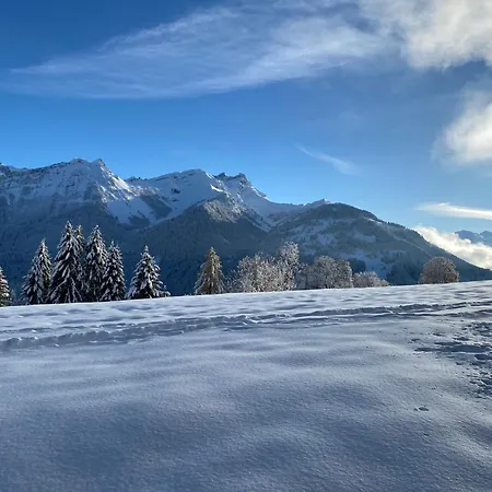 L'adret, 3,5 Pieces Dans Les Combles.
