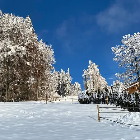 Apartamento L'adret, 3,5 Pieces Dans Les Combles. *