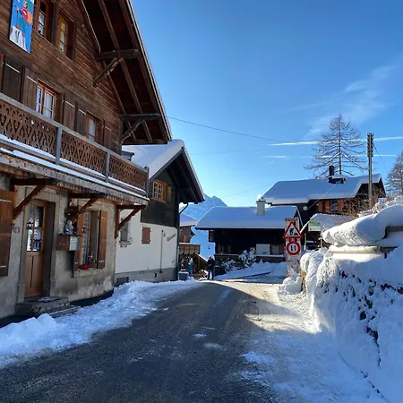 Apartamento L'adret, 3,5 Pieces Dans Les Combles. Gryon