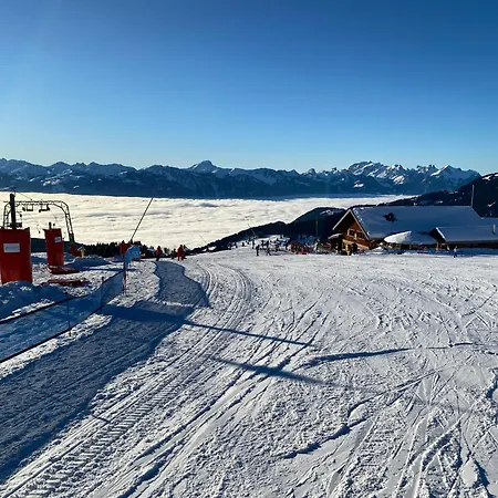 L'adret, 3,5 Pieces Dans Les Combles. Apartamento Gryon