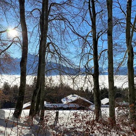 L'adret, 3,5 Pieces Dans Les Combles. Apartamento *