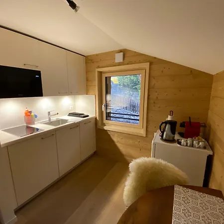 L'adret, 3,5 Pieces Dans Les Combles. Gryon