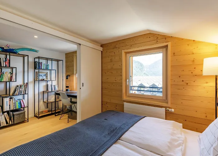 L'adret, 3,5 Pieces Dans Les Combles. *