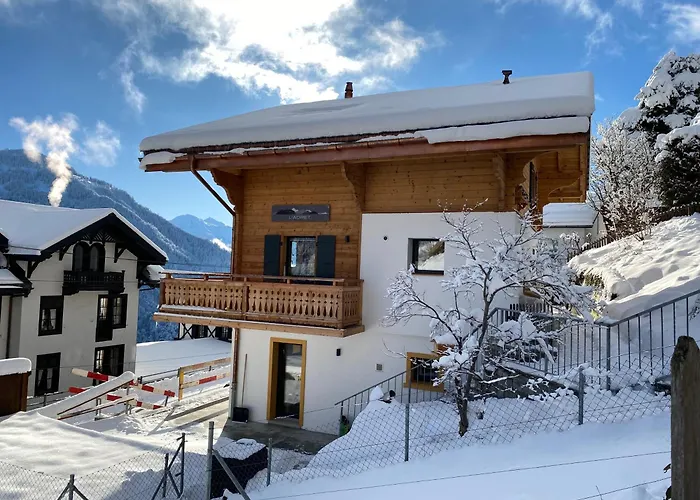 L'adret, 3,5 Pieces Dans Les Combles. Appartement