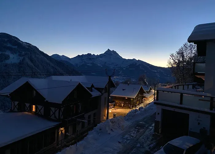 L'adret, 3,5 Pieces Dans Les Combles. Gryon