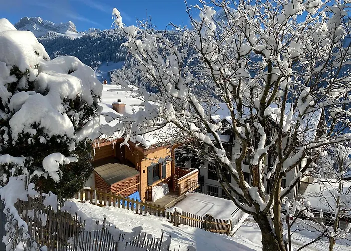 L'adret, 3,5 Pieces Dans Les Combles. Gryon