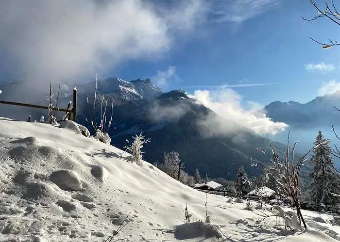 Apartment L'adret, 3,5 Pieces Dans Les Combles. *