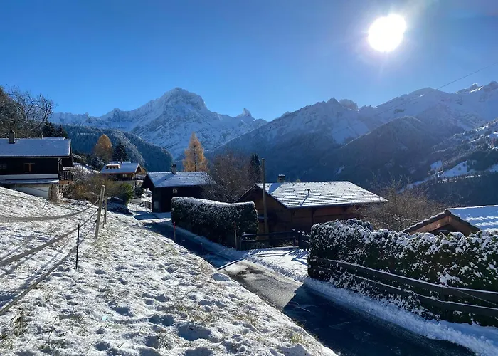 L'adret, 3,5 Pieces Dans Les Combles. Apartment Gryon