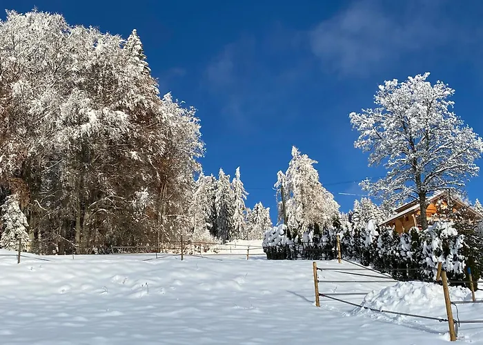 Appartement L'adret, 3,5 Pieces Dans Les Combles. *