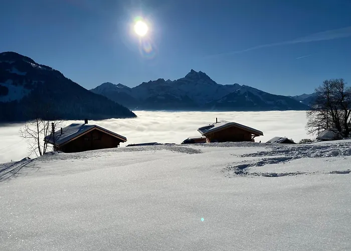 L'adret, 3,5 Pieces Dans Les Combles. Apartment Gryon