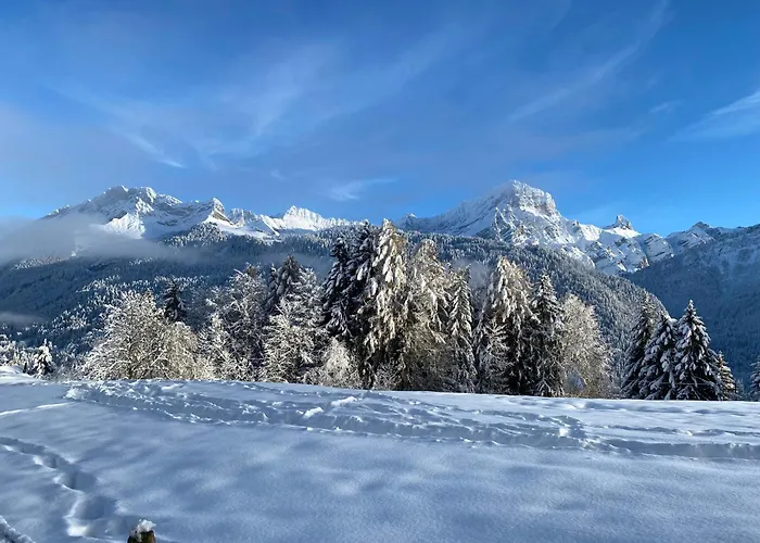 Apartment L'adret, 3,5 Pieces Dans Les Combles.