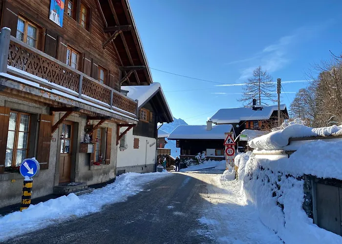 Appartement L'adret, 3,5 Pieces Dans Les Combles. Gryon