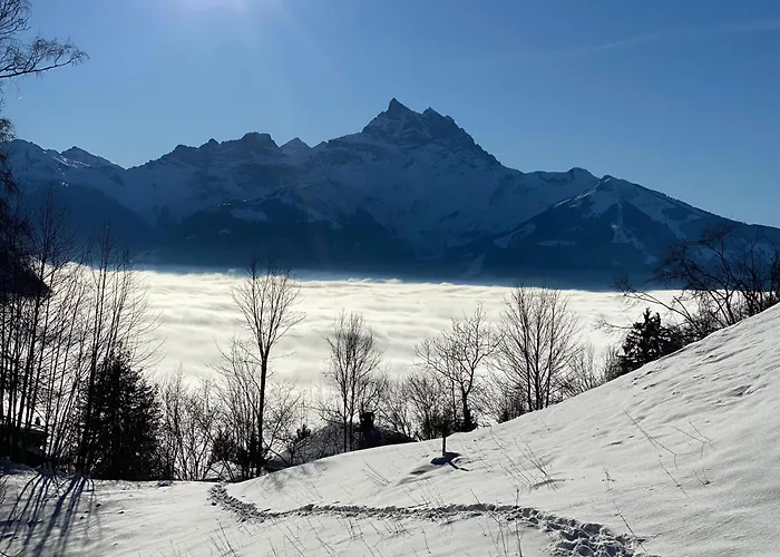 L'adret, 3,5 Pieces Dans Les Combles. Gryon