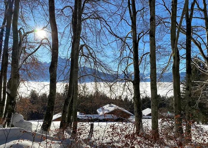 L'adret, 3,5 Pieces Dans Les Combles. Appartement *