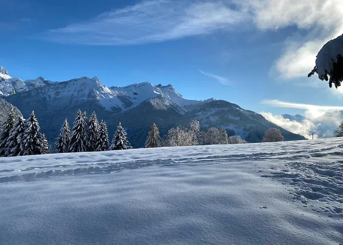 L'adret, 3,5 Pieces Dans Les Combles.