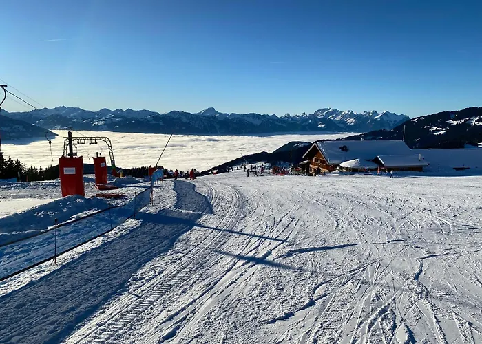 L'adret, 3,5 Pieces Dans Les Combles. Апартаменты Грион