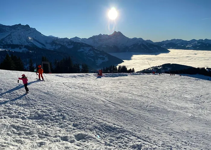 L'adret, 3,5 Pieces Dans Les Combles. Апартаменты *