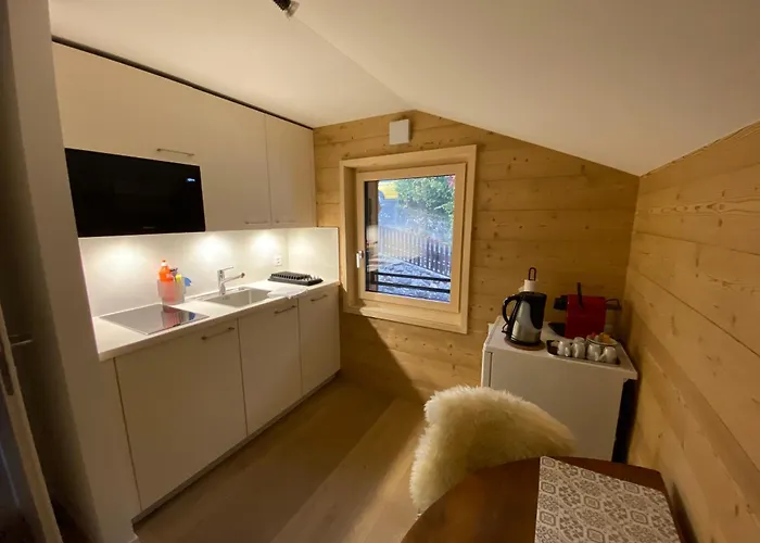 L'adret, 3,5 Pieces Dans Les Combles. Грион