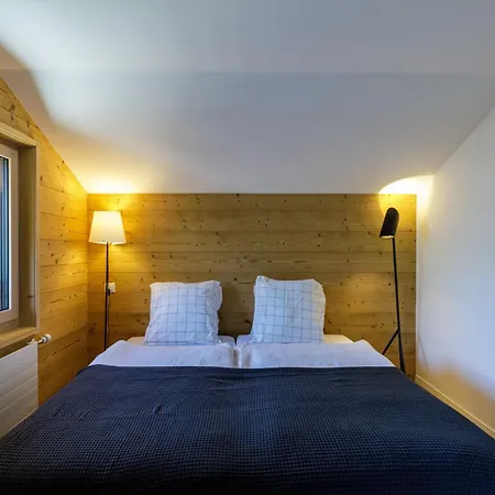 Apartment L'adret, 3,5 Pieces Dans Les Combles. Gryon